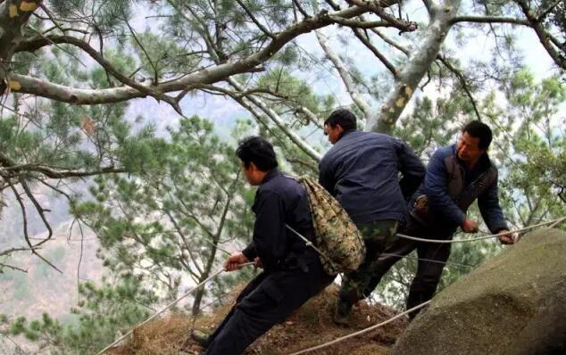 下绳.六十多岁采药老人今天照样能下绳采药.