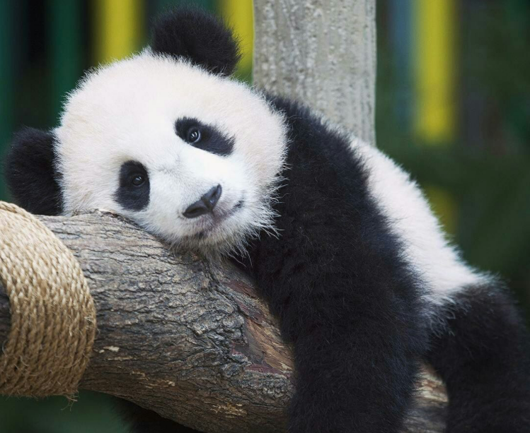 每个人都紧张地忙碌着,渴望休息时间,但是却又不知不觉地浪费时间,没